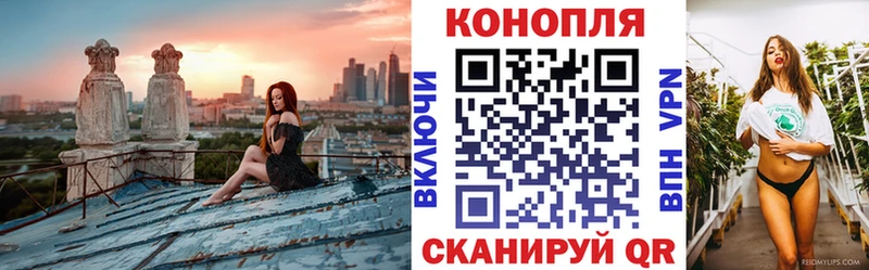 Наркошоп купить СОЛЬ  Канабис  МЕФ  Галлюциногенные грибы  КОКАИН  Гашиш  Кудымкар