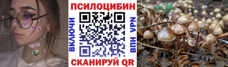 Псилоцибиновые грибы Psilocybe  Купить где  Кудымкар 
